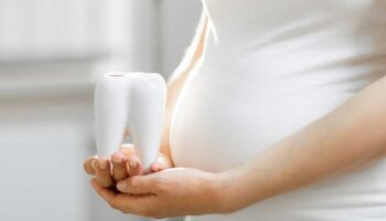 Schwangerschaft Und Zähne | Dentilus News