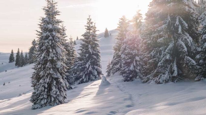 Zahnprobleme im Winter | Dentilus News